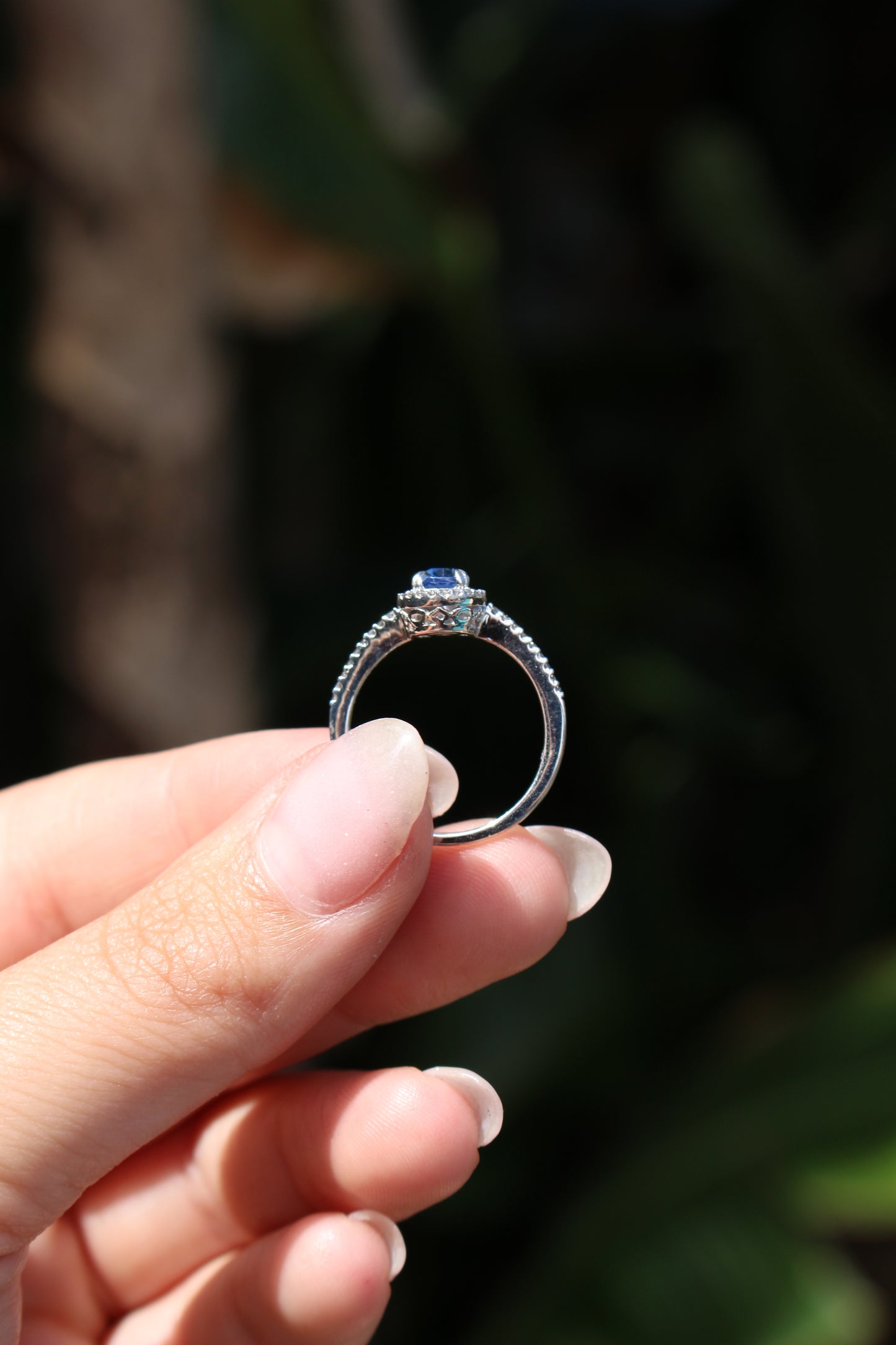 Sapphire and Diamond Ring 14K White Gold