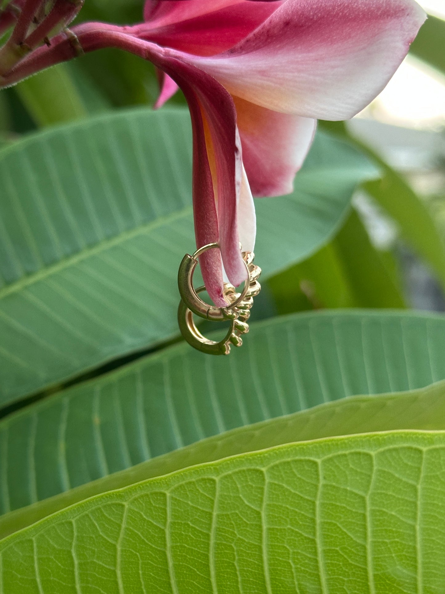 Gold earrings/huggies on a pink flower and green leaves