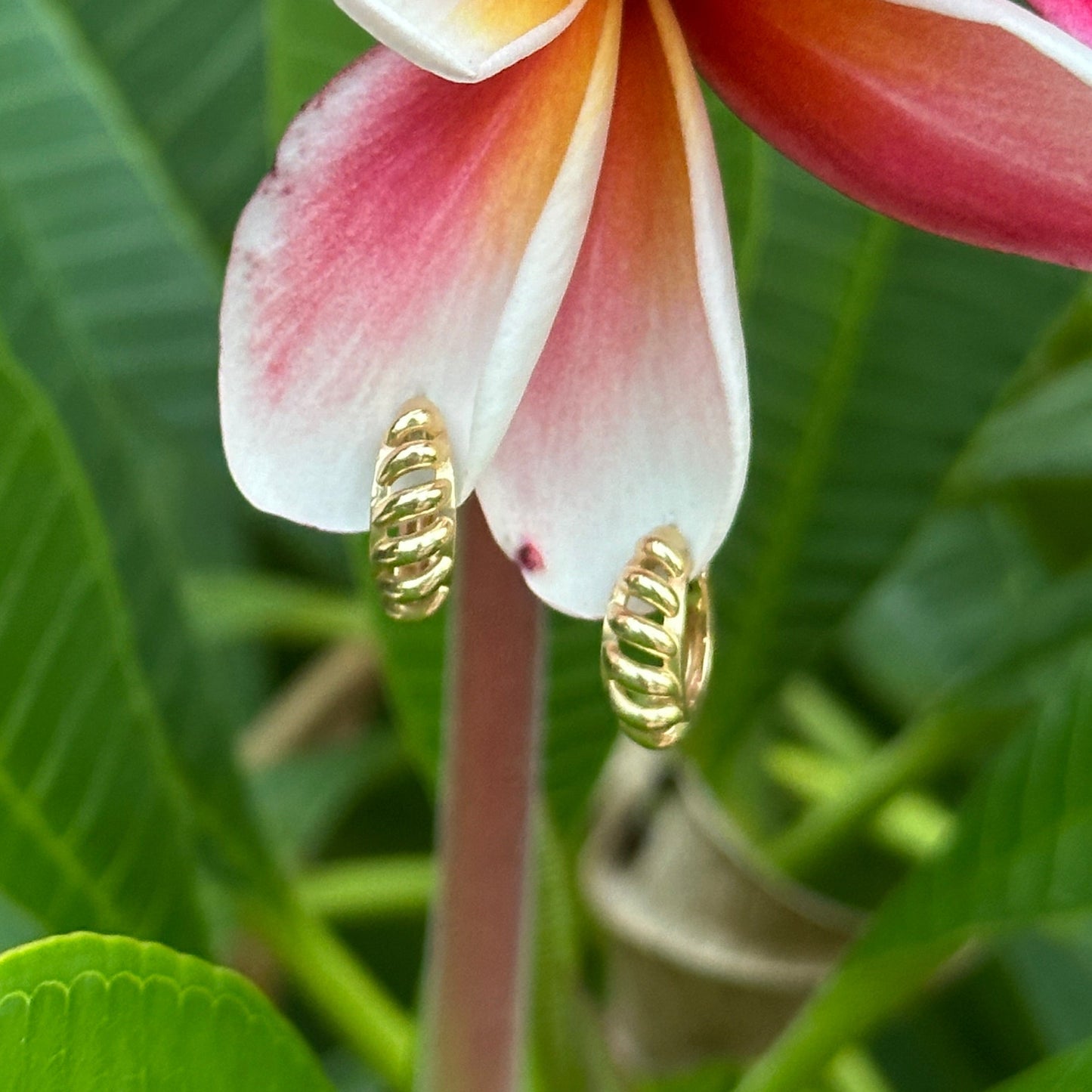 Close-up of yellow gold rope style huggies on pink and red flowers with green leaves in the background