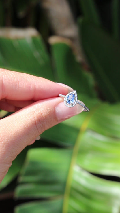 Sapphire and Diamond Ring 14K White Gold